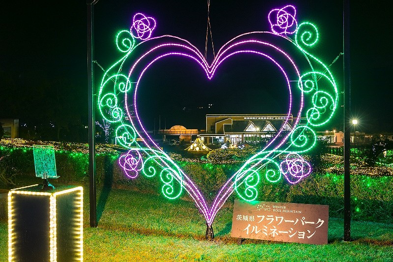 茨城県フラワーパークのイルミネーション情報 Winter Rose Mountain 茨城県フラワーパーク イルミネーション イルミネーション情報18 19 ウェザーニュース