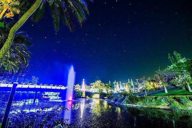 東南植物楽園のイルミネーション情報 ひかりの散歩道19 イルミネーション情報19 ウェザーニュース